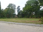 P1110304
