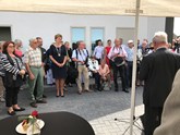 IMG_2572