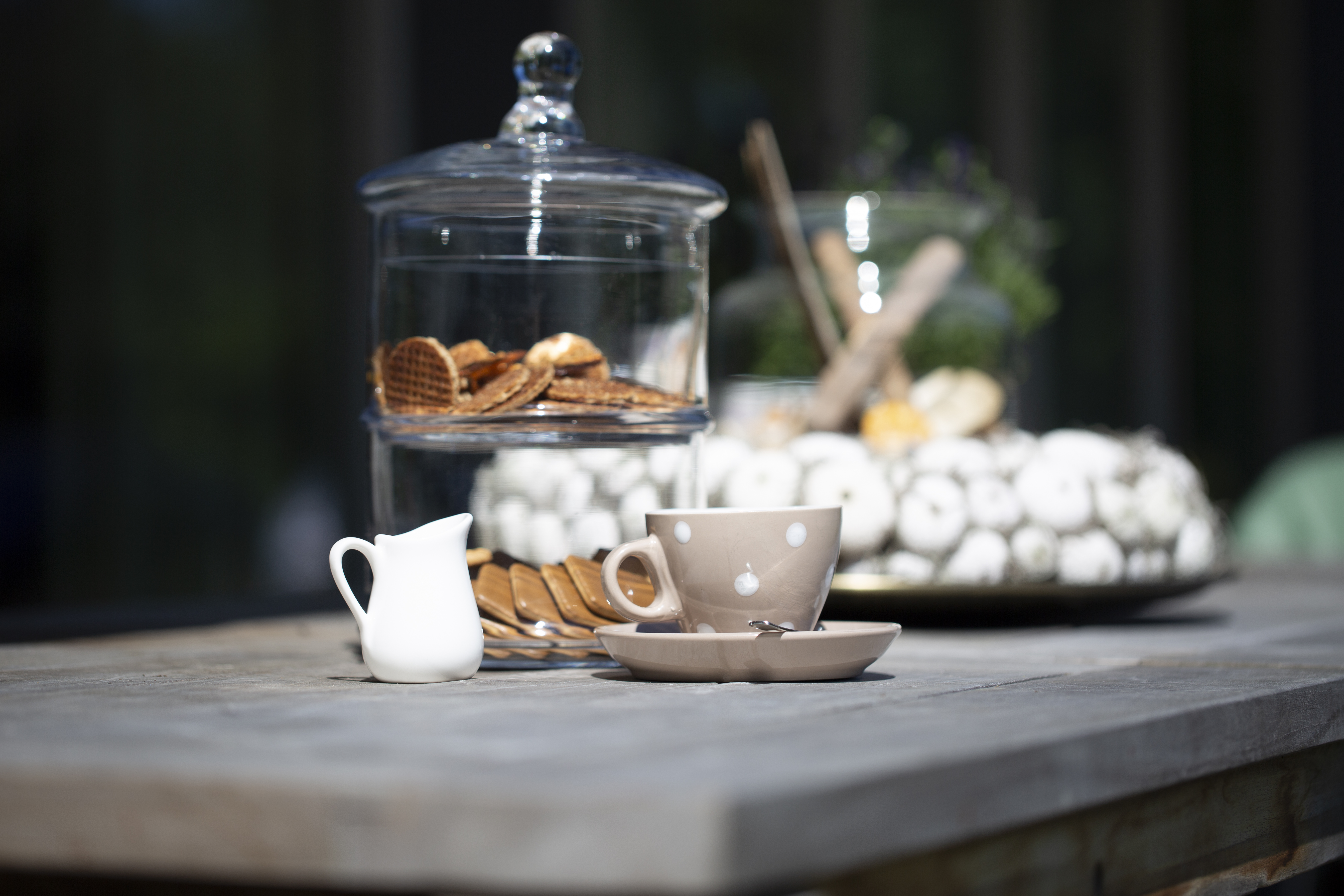 Doodvriendelijke samenleving 