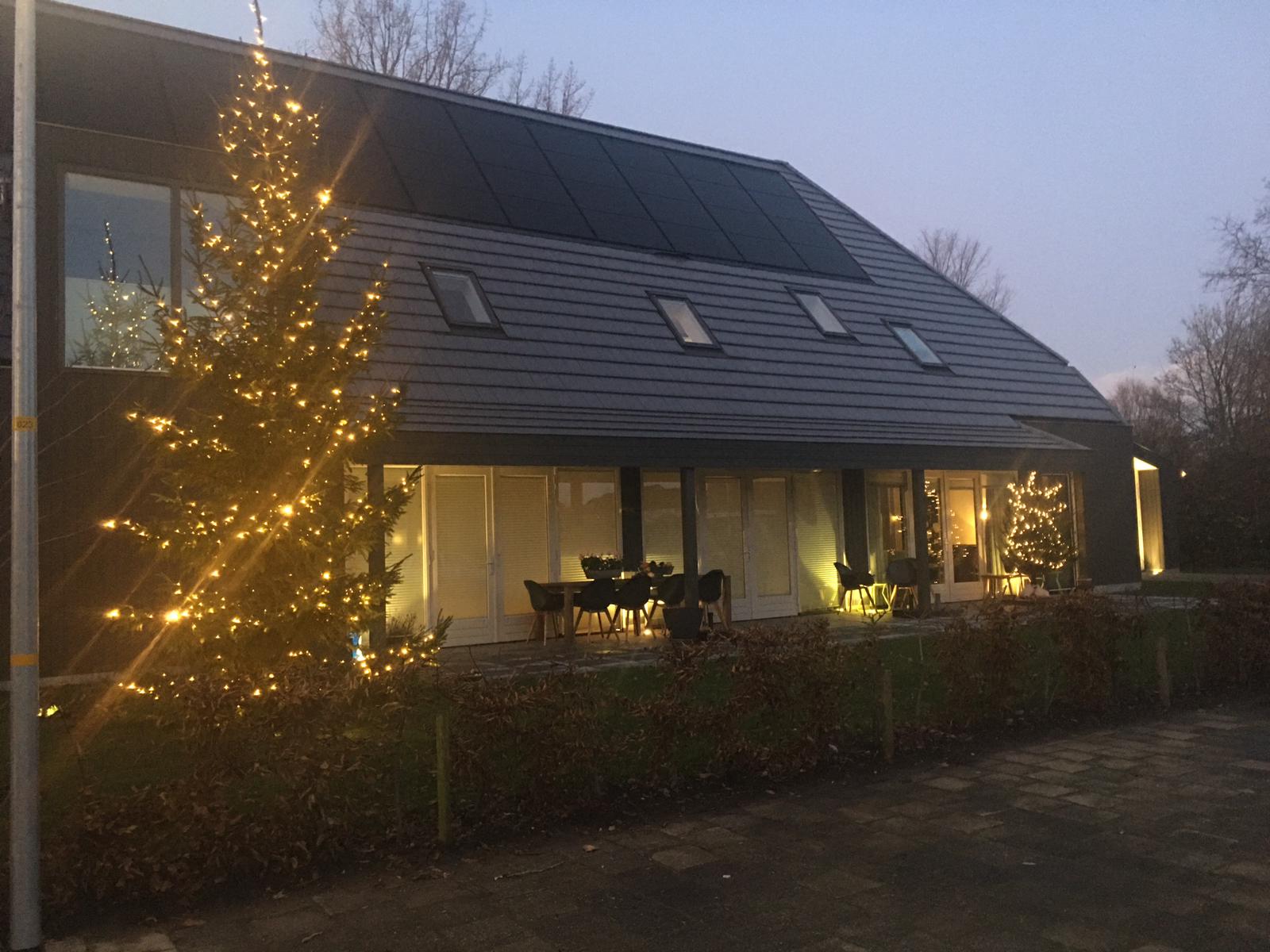 Niet één, maar heel veel kerstbomen! 