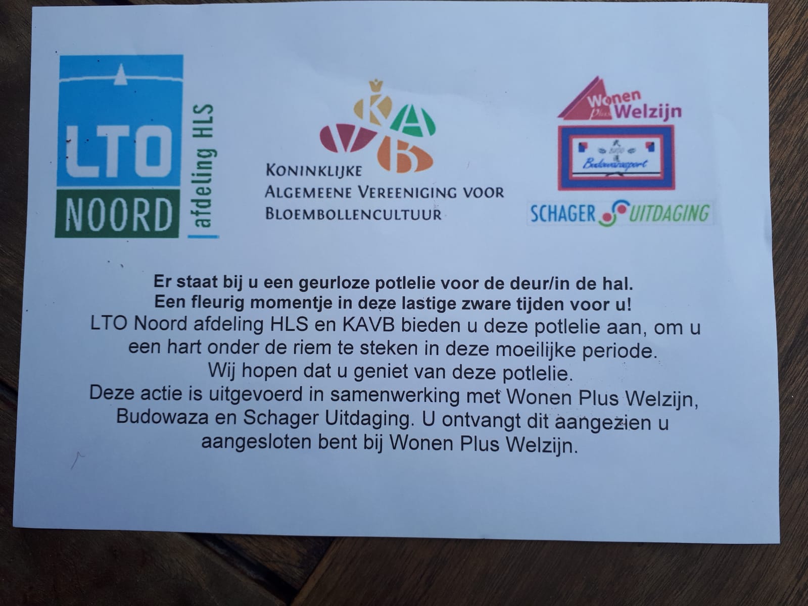 Verrast met bloemen, planten en geuren