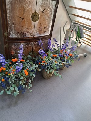 IMG-20240919-WA0013