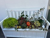 IMG-20250924-WA0010