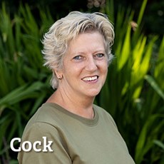 Cock