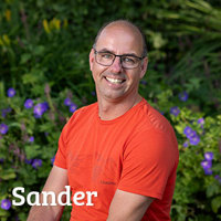 Sander