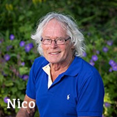 Niko