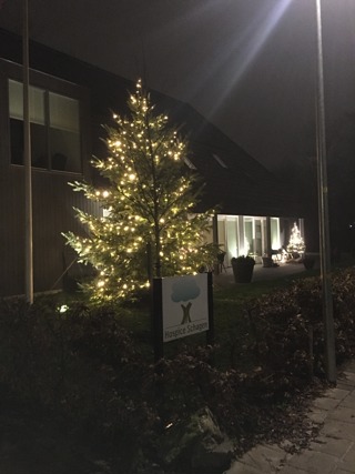 kerstboombuiten