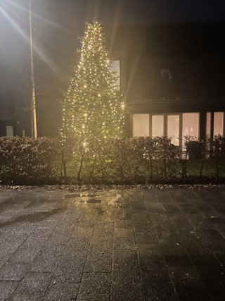 kerstboombuiten2